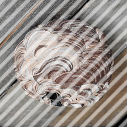 害獣・害虫駆除